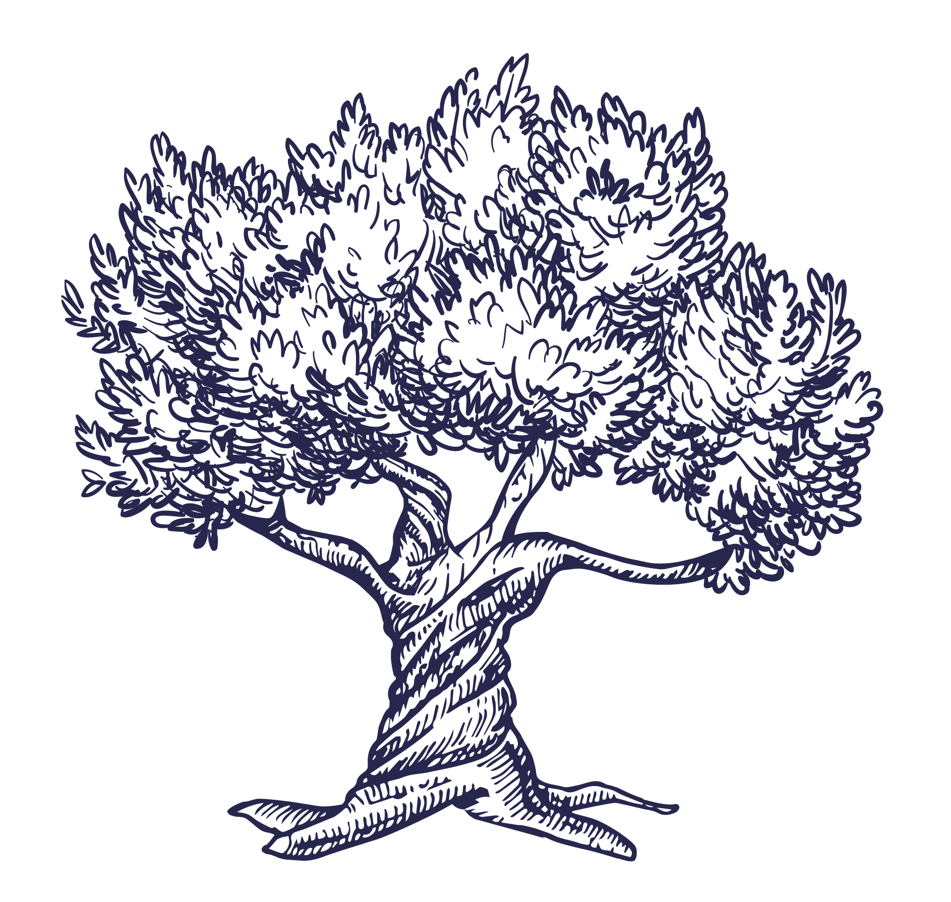 Icon arbre logo