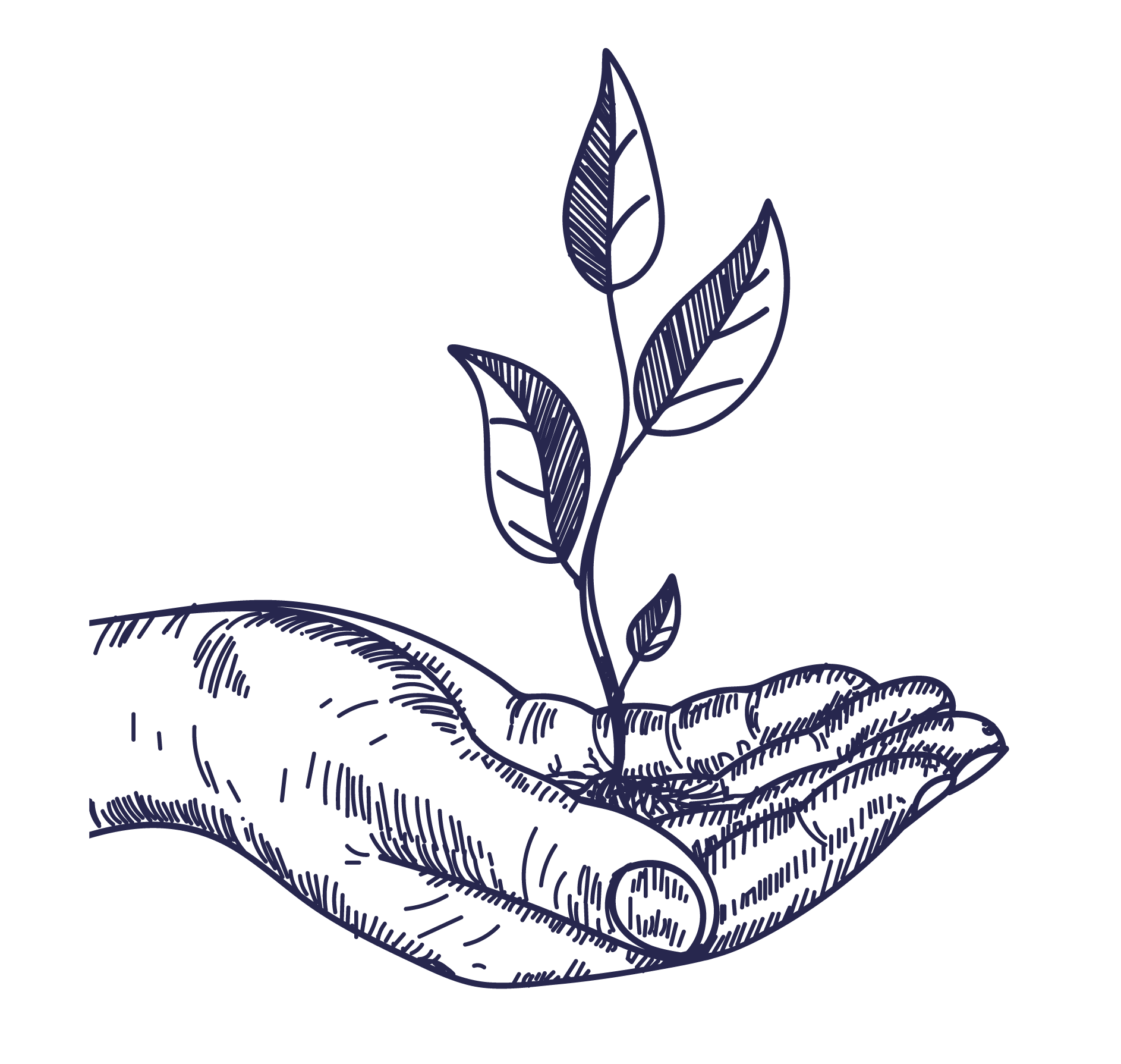 Icon de main portant une plante