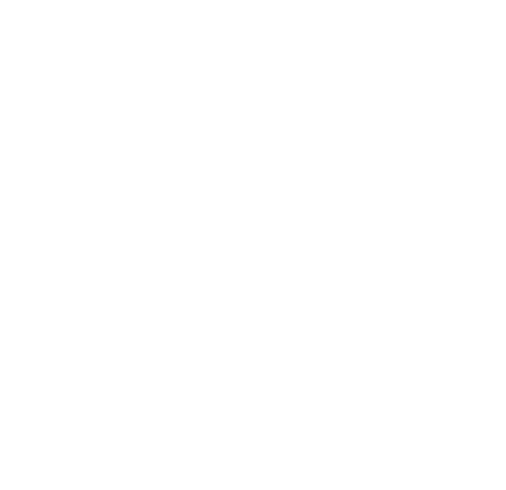 Illustration papillon