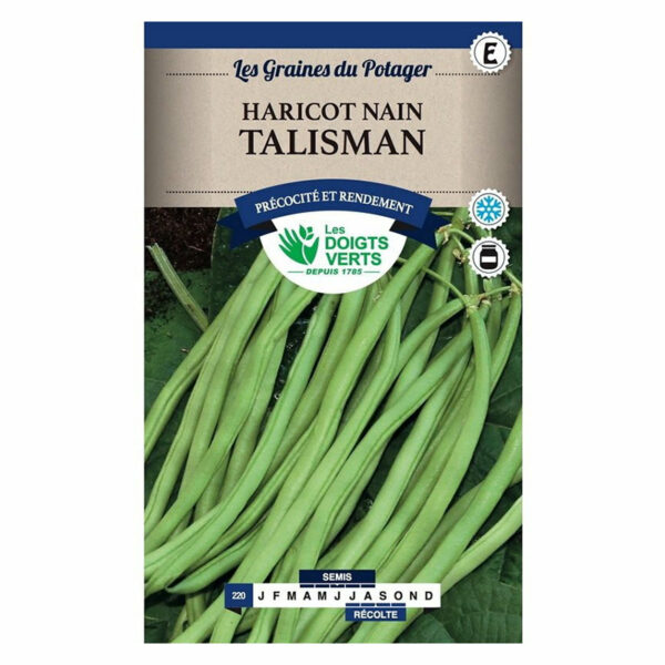 Haricot Nain Talisman - graines de potager