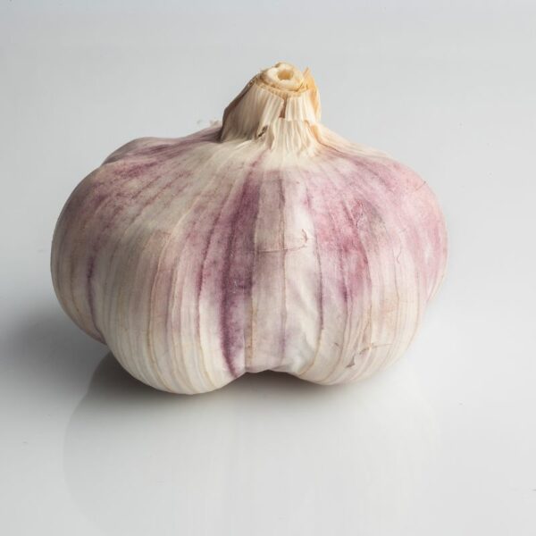Ail violet – Image 3