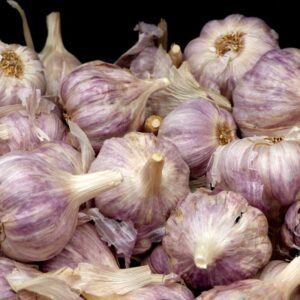Ail violet